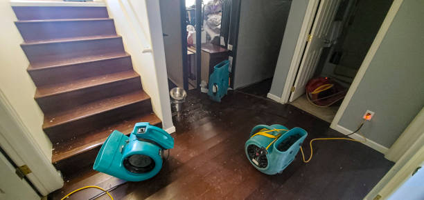 Best Fire Damage Restoration  in Mattydale, NY