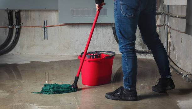 Best Water damage restoration near me  in Mattydale, NY
