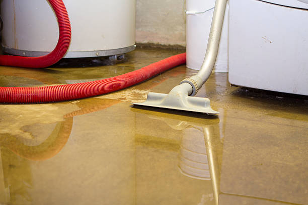 Best Water damage restoration company  in Mattydale, NY