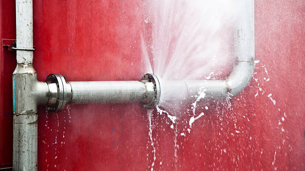 Best Mold removal after water damage  in Mattydale, NY